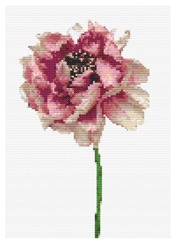 Botanical Cross Stitch Pattern - "Paeonia Suffruticosa" - Original Artist Design - Instant Download PDF