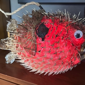 May include: A decorative pufferfish sculpture with a vibrant red body and white spines. The fish has a large, googly eye and a rope for hanging. The fins and tail are a light brown color. This unique piece adds a touch of whimsy to any space.