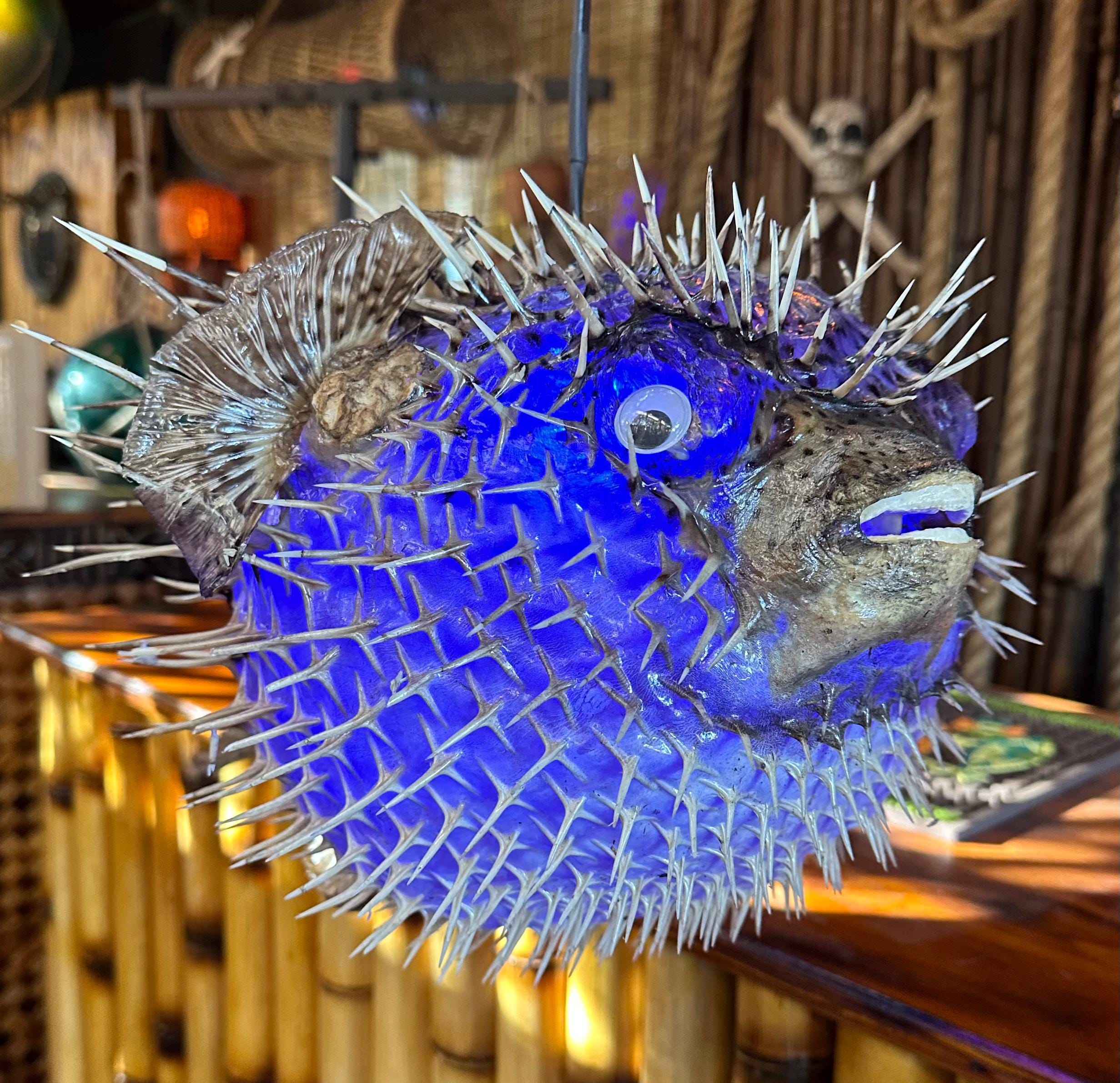 Vintage Light Fish - Etsy