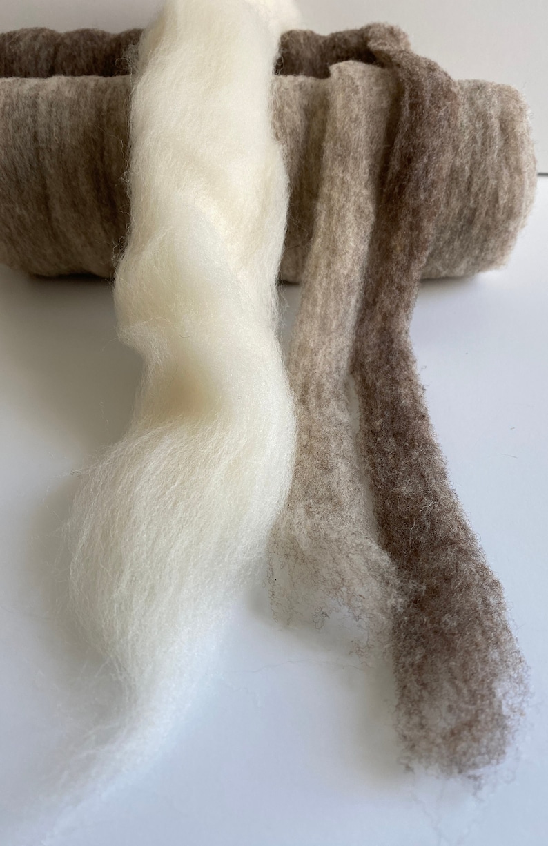4 oz. Southdown for Spinning Multiple Natural Shades image 1