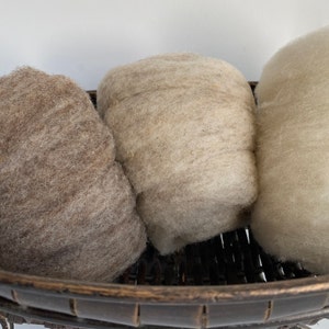 Babydoll Southdown Wool 1.5 oz. image 5