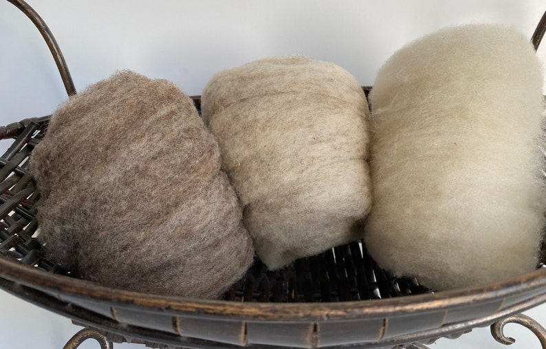 Babydoll Southdown Wool 1.5 oz. image 5