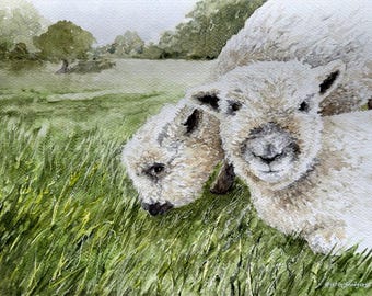 Stretched Canvas Print of Sheep Painting - The Twins