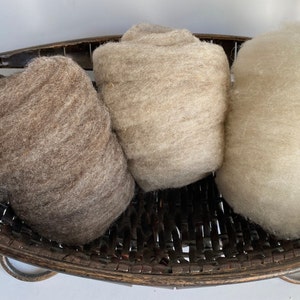 Babydoll Southdown Wool - 1.5 oz.