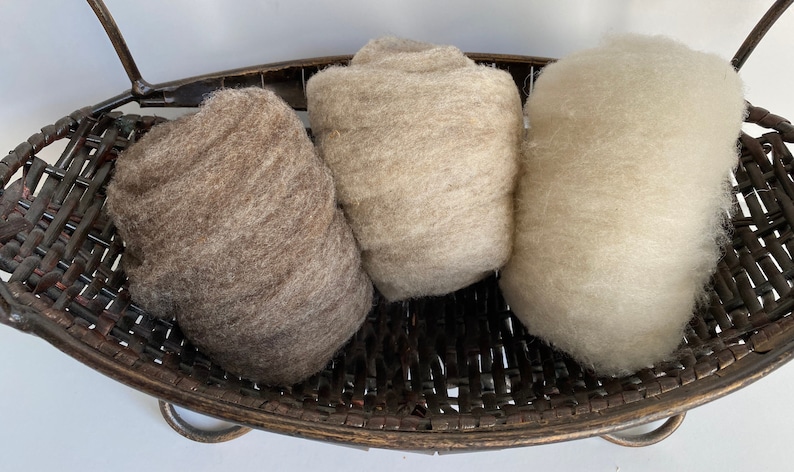 Babydoll Southdown Wool 1.5 oz. image 1