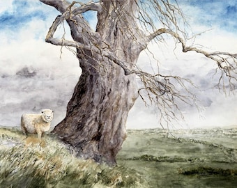 Stretched Canvas Print of Sheep Painting - High Hill