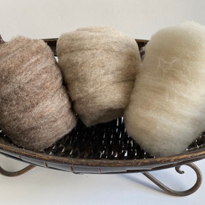 Babydoll Southdown Wool 1.5 oz. image 7