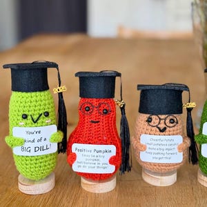 Handmade Graduation Pickle with Custom Card, High School College Graduation Gift, Emotional Support Positive Pickle, PHD Grad Keepsake Gift