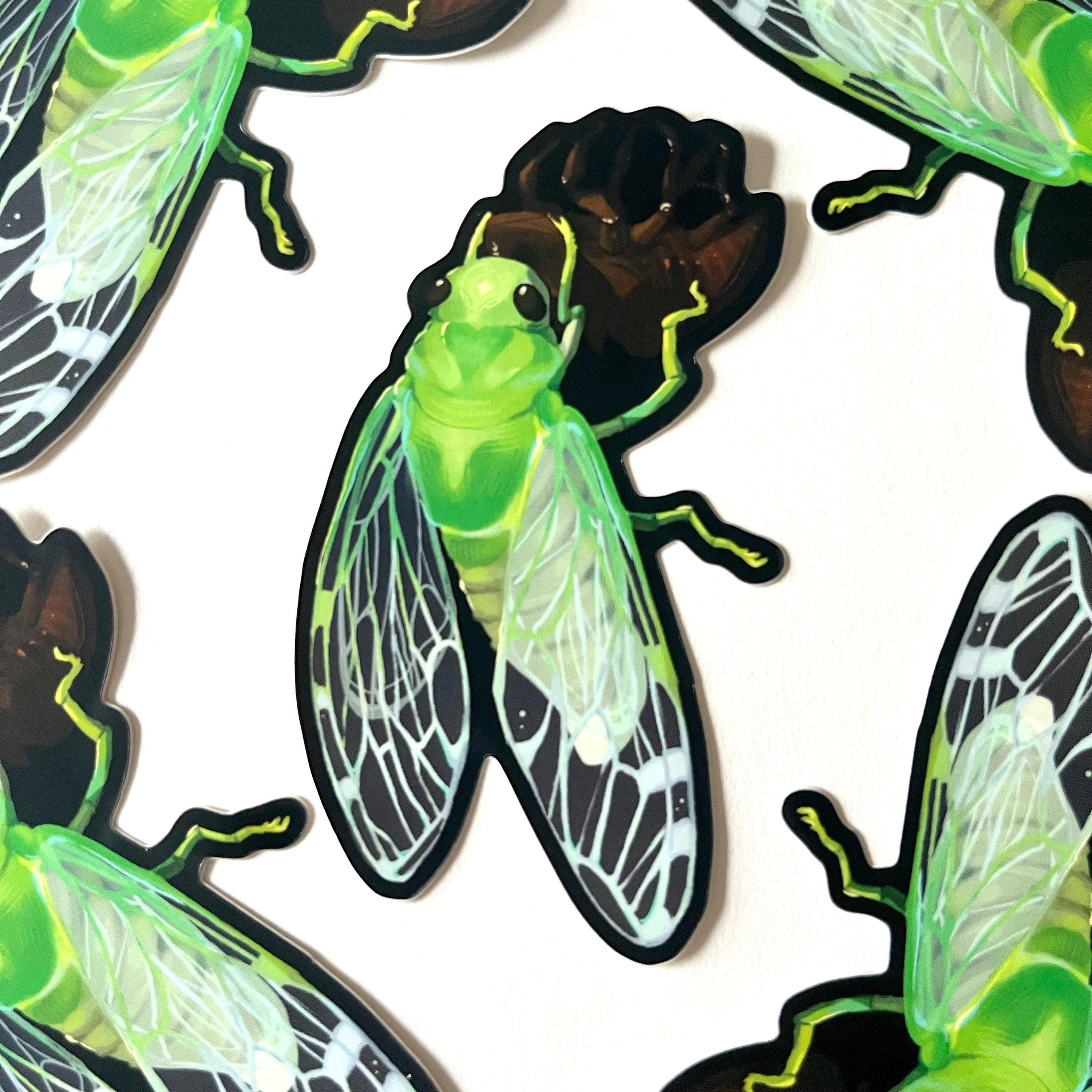Cicada Waterproof Vinyl Sticker