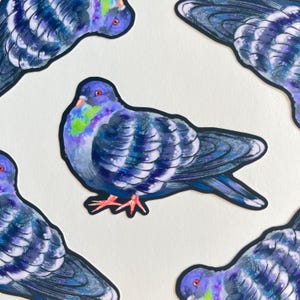 Pigeon Bird Waterproof Vinyl Sticker