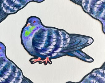 Pigeon Bird Sticker Waterproof Vinyl