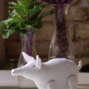 Champignon. The white pig. image 4