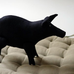 The black pig
