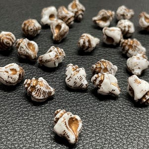 May include: A collection of small, decorative seashell figurines. The shells are primarily white with bronze-colored accents, showcasing intricate details. The shells vary in size and shape, creating a natural, coastal theme.