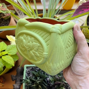 May include: A light green ceramic planter with a textured basket weave design. The planter features a circular emblem with a leaf pattern and a red interior. The planter is designed to hold plants and flowers.