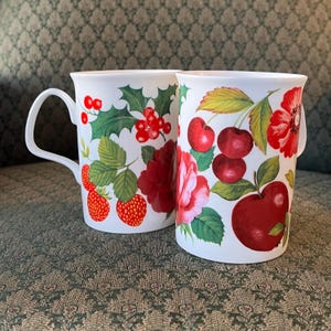 Pair Of Vintage Roy Kirkham Coventry Garden Flowers & Fruit Botanical Fine Bone China Cups Mugs Free Shipping