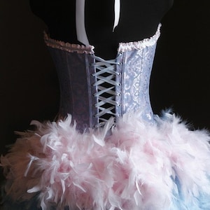 ALICE IN WONDERLAND Feather Burlesque Circus Costume Pink Blue Corset Cosplay Dress image 5