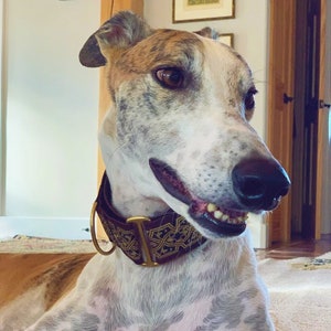Fionn Brown 1.5 or 2 inch Greyhound Martingale Dog Collar Padded and Lined with Free Custom Sizing image 3