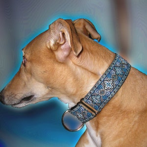 Regal Blue 1.5 or 2 inch Greyhound Martingale Dog Collar Padded and Lined with Free Custom Sizing image 2