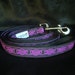 see more listings in the Leashes section