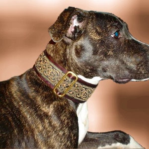 Fionn Brown 1.5 or 2 inch Greyhound Martingale Dog Collar Padded and Lined with Free Custom Sizing image 2