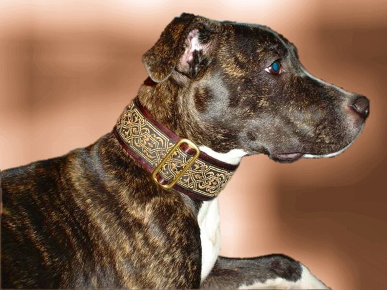 Fionn Brown 1.5 or 2 inch Greyhound Martingale Dog Collar Padded and Lined with Free Custom Sizing image 2