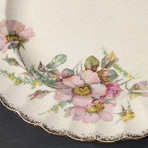 Floral Luncheon Plate: 22K Gold Edge, Sebring Wild Rose Pattern