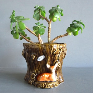 May include: A brown ceramic planter shaped like a tree stump, with a deer figurine. It contains a jade plant with green leaves. The planter has a glossy finish and a decorative design. The plant is in a decorative pot.