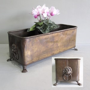 May include: A rectangular brass planter with a weathered patina, featuring lion head motifs with attached rings on the sides. The planter stands on four small claw feet and contains a potted plant with pink flowers and green leaves.
