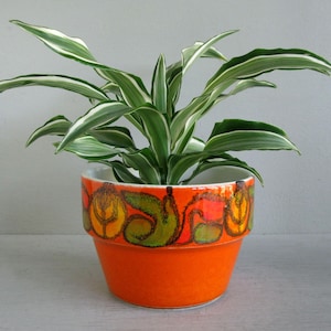 Vintage Poole Pottery Delphis planter