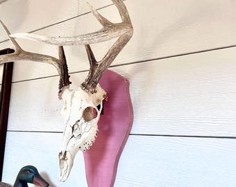 Rustic Deer Mount Plaque: Pink Painted Wood, Antler Display