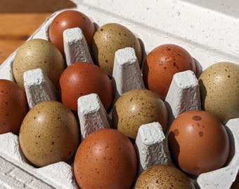 I Dozen Hand-Blown Mahogany and Olive Speckled Eggs for Rustic Decor, Pysanky, Farmhouse