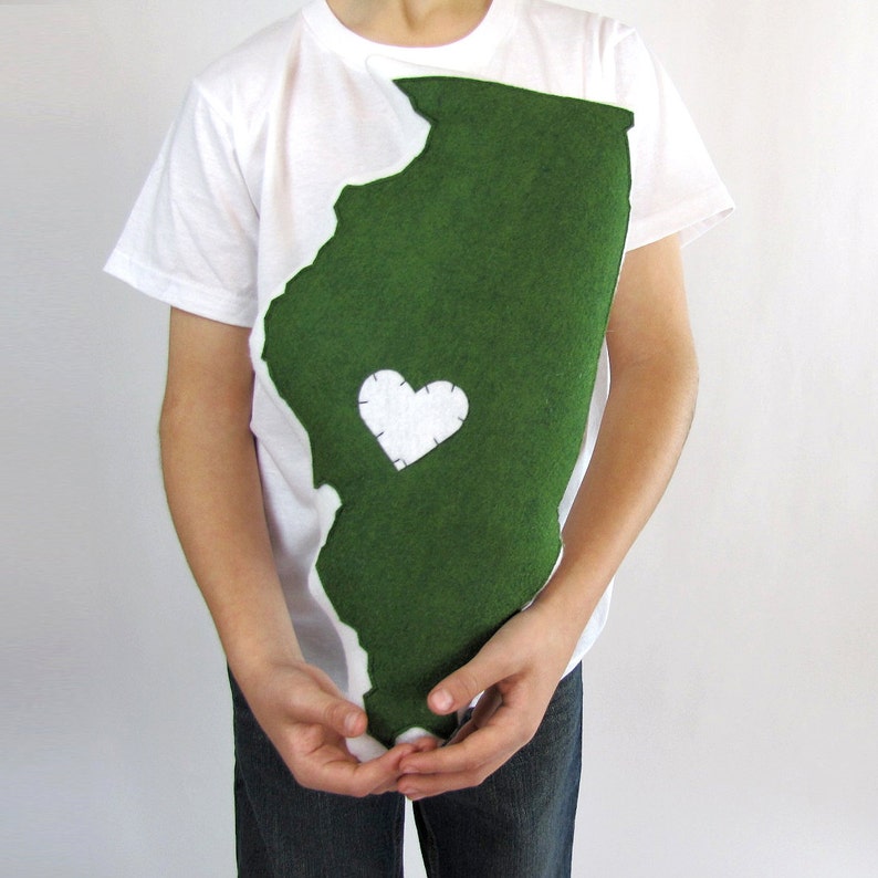 Customizable Illinois State Pillow Etsy