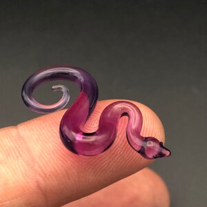 Tiny royal jelly snake image 1