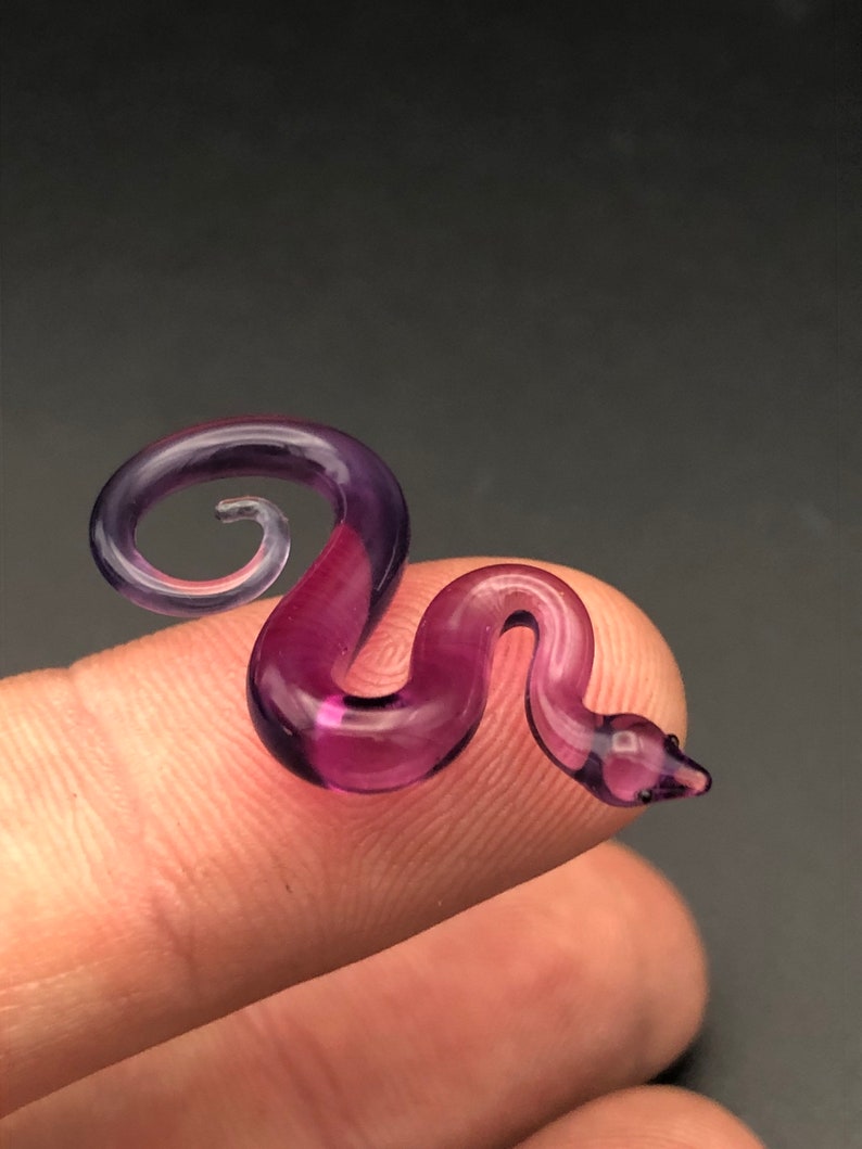 Tiny royal jelly snake image 1