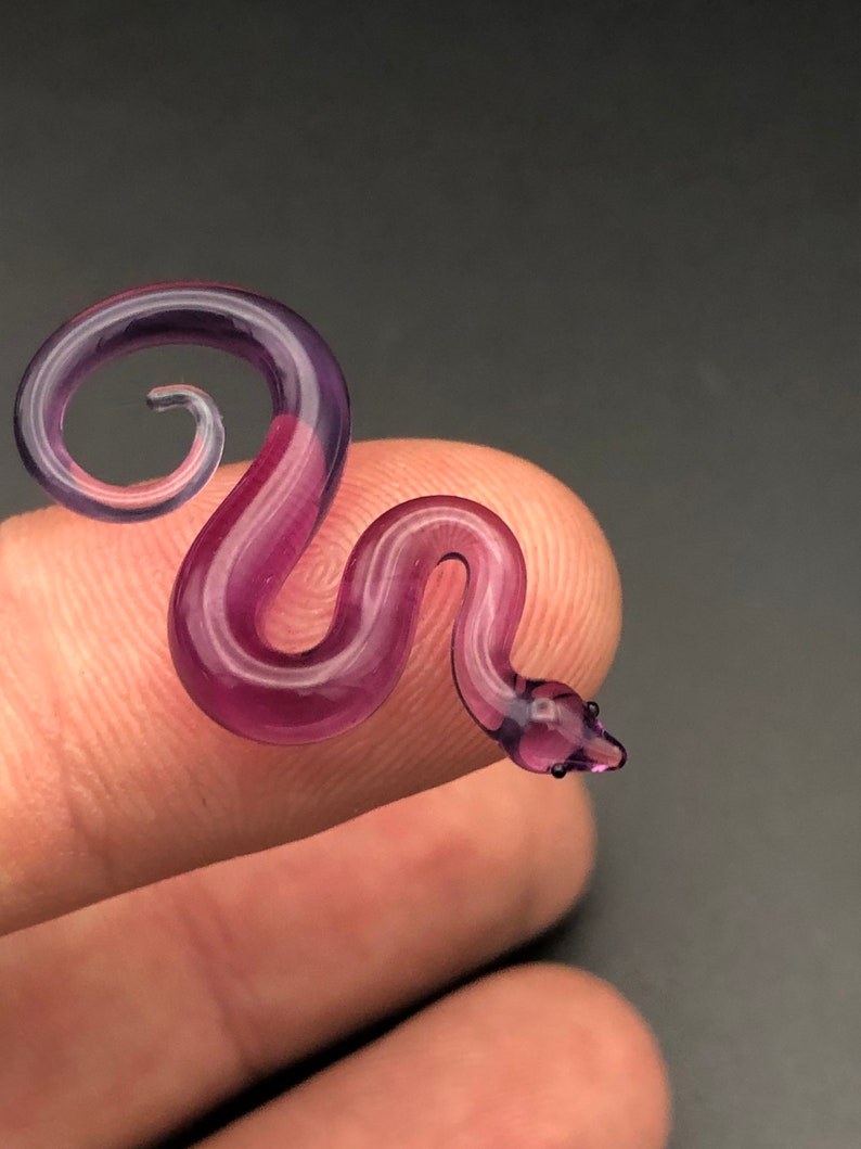Tiny royal jelly snake image 3
