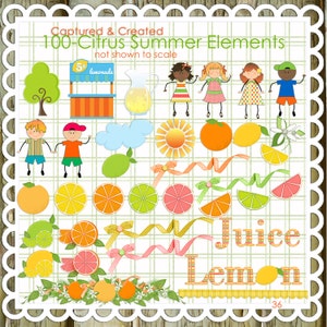 100 Citrus Summer Elements/Clipart ****Instant Download ****