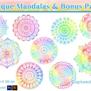 9 Vector Unique Mandalas Clip-Art Elements With 4 Bonus Patterns
