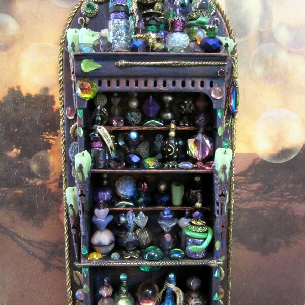 The Snake Charmer Potions Cupboard OOAK dollhouse miniature in one inch scale