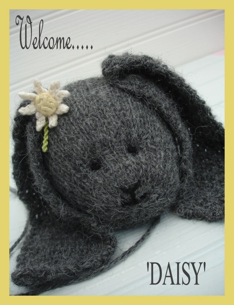 DAISY Rabbit / Toy Bunny Knitting Pattern/ Plus FREE Handmade Shoes Knitting Pattern/ Back & Forth image 2