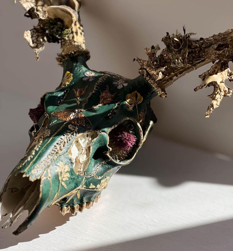 Deer Skull Art: FAUN No.1 - Etsy