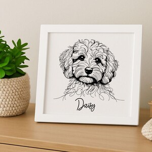 Op de afbeelding: Een ingelijnde zwart-wit lijntekening van een hondengezicht. De hond heeft krullend haar en een lieve uitdrukking. De naam "Daisy" staat eronder in cursief. De lijst is wit.