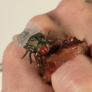 May include: A realistic-looking fly figurine with translucent wings and red eyes is perched on a piece of red and brown food.
