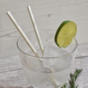 Sterlingzilver herbruikbaar cocktailrietje wasbaar milieuvriendelijk bargerei VK-keurmerk