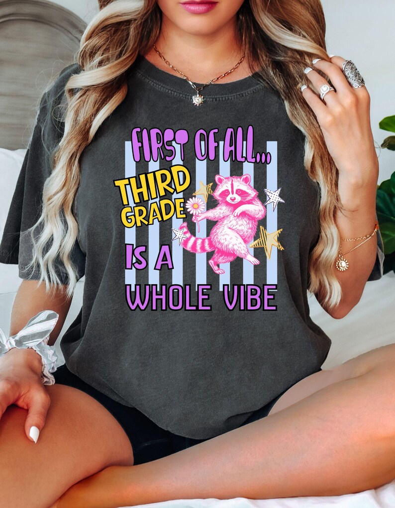 Puede incluir: Una camiseta gris carb&oacute;n de manga corta con el gr&aacute;fico de un mapache rosa sosteniendo una margarita. El texto "FIRST OF ALL... THIRD GRADE IS A WHOLE VIBE" aparece en amarillo y morado sobre un fondo de rayas verticales de color azul claro.