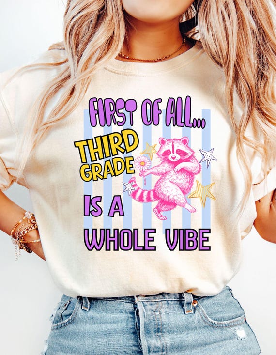 Comfort Colors Back To School 3rd Grade Teacher Shirt, Funny Third Grade is a Whole Vibe Raccoon tshirt, Team Matching First Day Tee