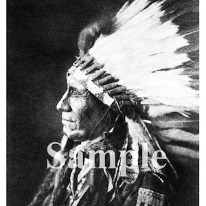 Restored Vintage Photo of American Horse Instant Download, Ready to Print Vintage Photo Instant Download