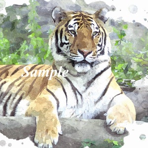 Aquarell Tiger Wand Kunst bereit, Sofort Download, 8 x 11 Tiger Wandkunst zu drucken