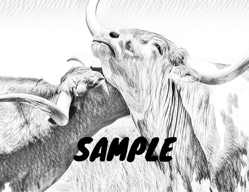 May include: A black and white pencil drawing of two longhorn cattle. The cattle are facing each other, with their horns touching. The drawing is done in a realistic style, with detailed shading and texture.