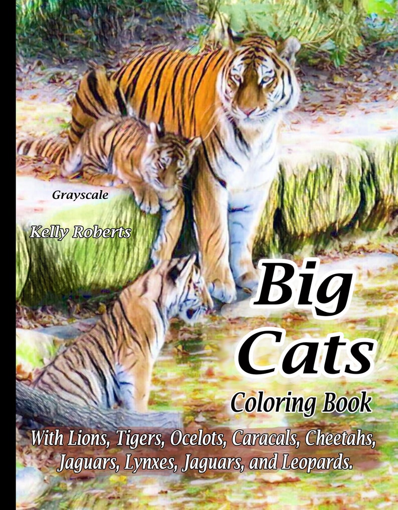 Big Cats Coloring Pages Samples From Big Cats Coloring Book Etsy